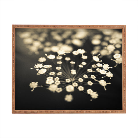 Olivia St Claire Finding Focus Rectangular Tray