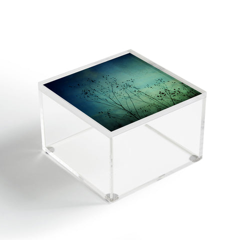 Olivia St Claire Illusions Acrylic Box