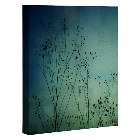 Olivia St Claire Illusions Art Canvas