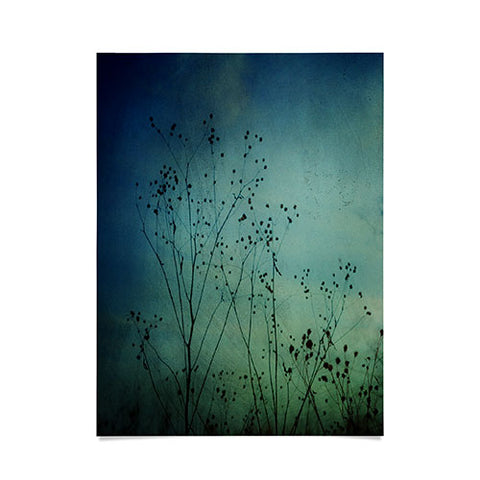 Olivia St Claire Illusions Poster