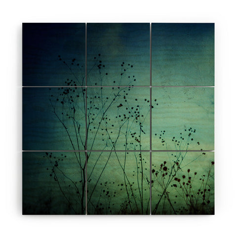 Olivia St Claire Illusions Wood Wall Mural