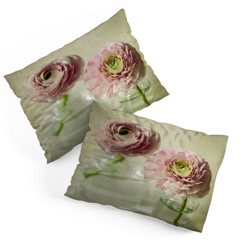 Olivia St Claire In the Moment 2 Pillow Shams