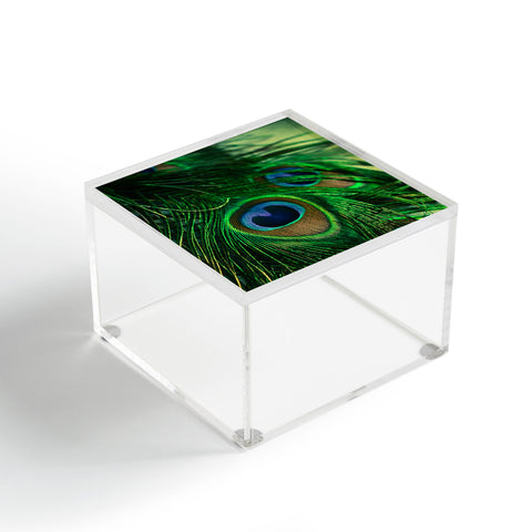 Olivia St Claire Iridescent Acrylic Box