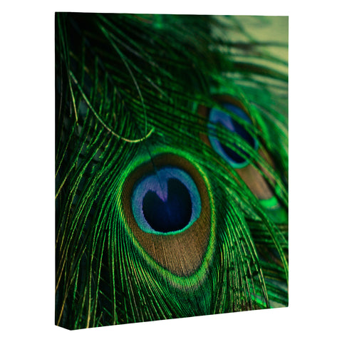 Olivia St Claire Iridescent Art Canvas