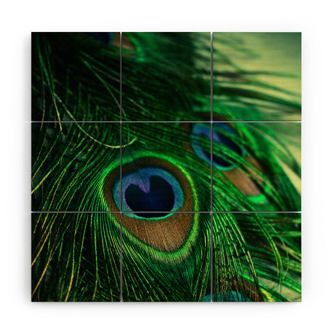 Olivia St Claire Iridescent Wood Wall Mural