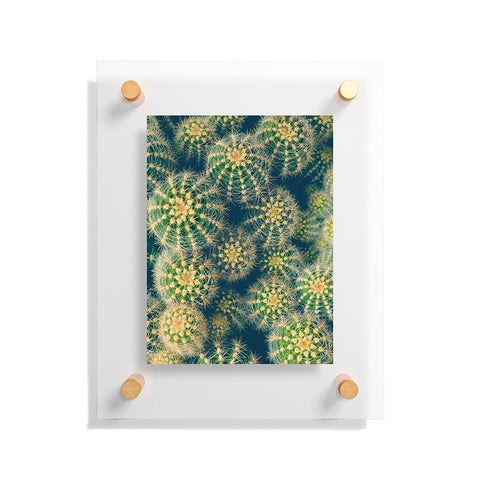 Olivia St Claire Lovely Cactus Floating Acrylic Print