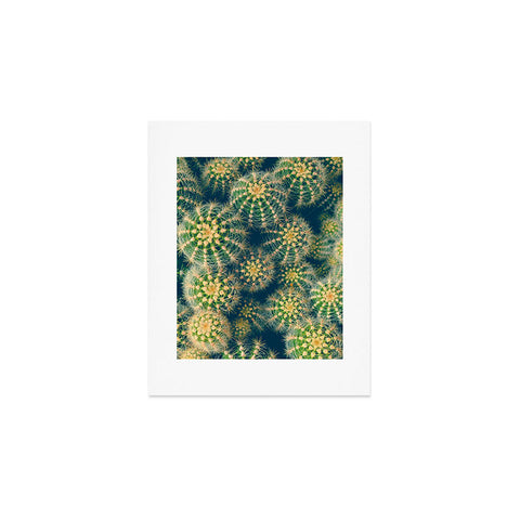 Olivia St Claire Lovely Cactus Art Print