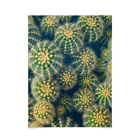 Olivia St Claire Lovely Cactus Poster