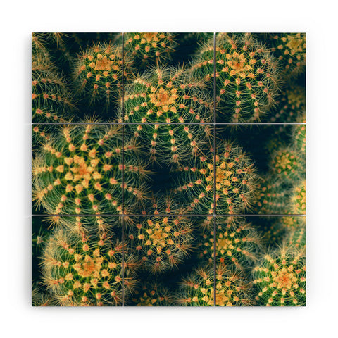 Olivia St Claire Lovely Cactus Wood Wall Mural