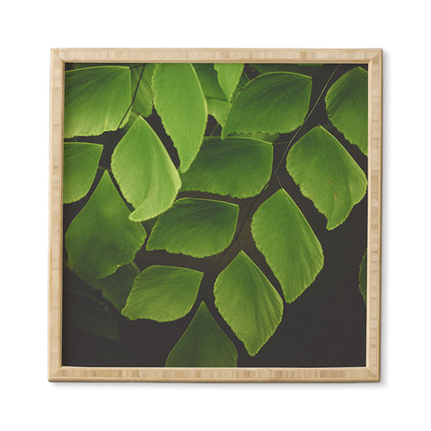 Olivia St Claire Maidenhair Fern 2 Framed Wall Art