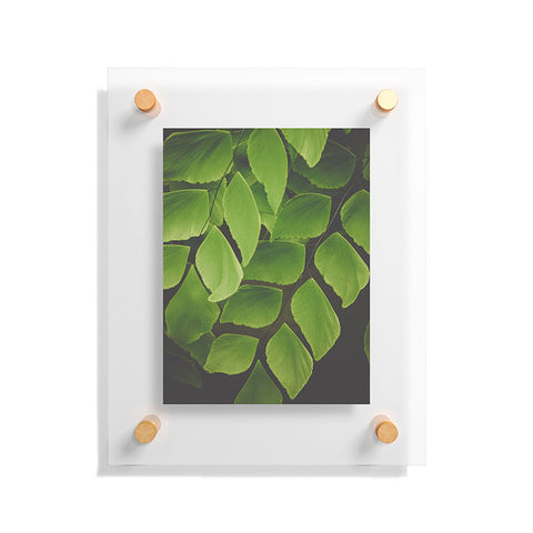 Olivia St Claire Maidenhair Fern 2 Floating Acrylic Print