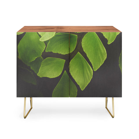 Olivia St Claire Maidenhair Fern 2 Credenza