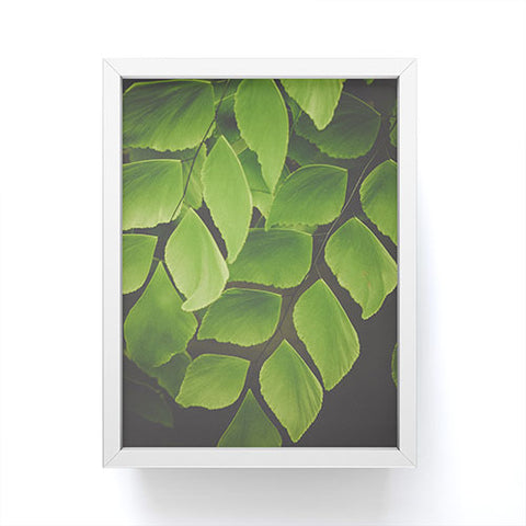 Olivia St Claire Maidenhair Fern 2 Framed Mini Art Print