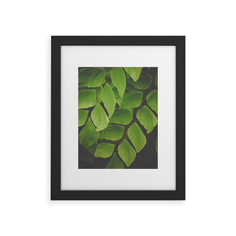 Olivia St Claire Maidenhair Fern 2 Framed Art Print