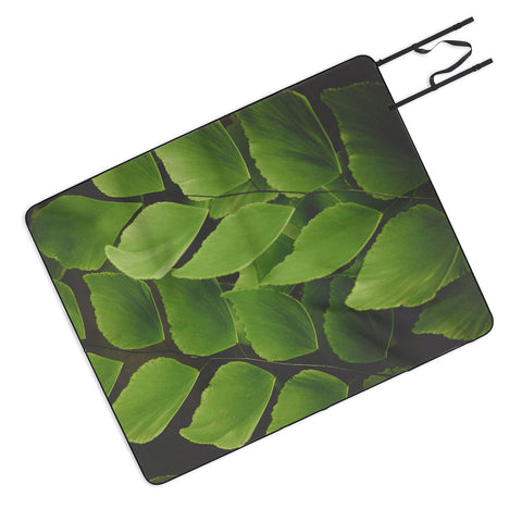 Olivia St Claire Maidenhair Fern 2 Picnic Blanket