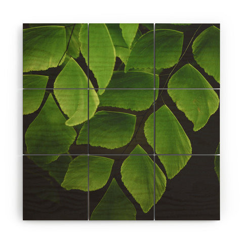 Olivia St Claire Maidenhair Fern 2 Wood Wall Mural