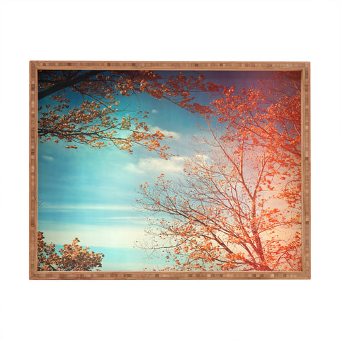 Olivia St Claire Overlook Rectangular Tray