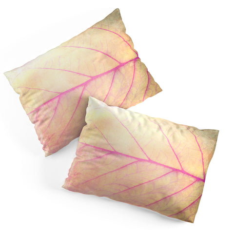 Olivia St Claire Pink Leaf Abstract Pillow Shams