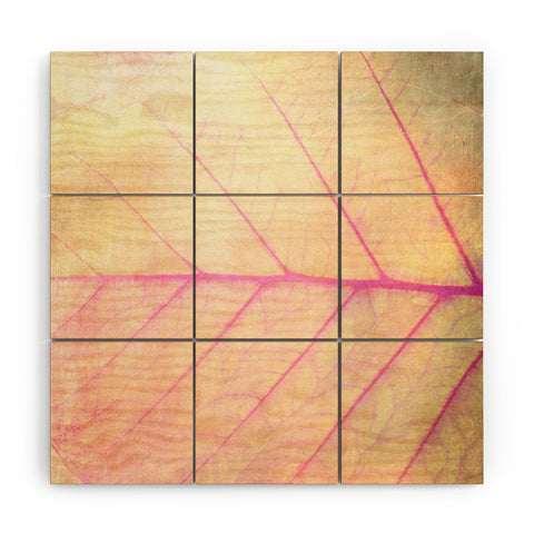 Olivia St Claire Pink Leaf Abstract Wood Wall Mural