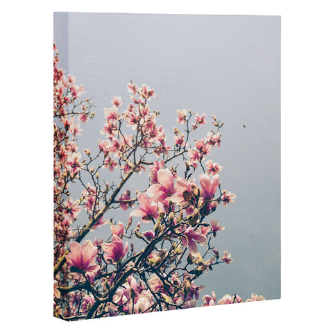Olivia St Claire Pink Magnolia Art Canvas