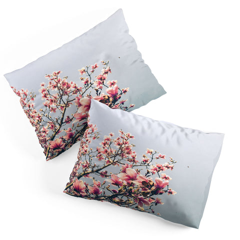 Olivia St Claire Pink Magnolia Pillow Shams