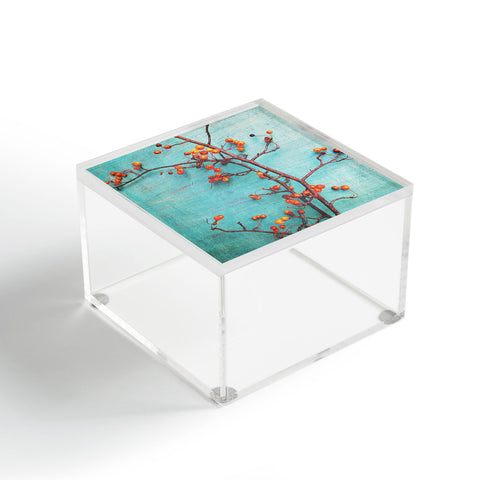 Olivia St Claire She Hung Her Dreams On Branches Acrylic Box