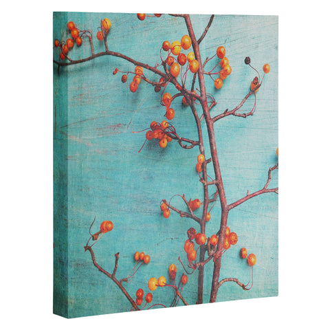 Olivia St Claire She Hung Her Dreams On Branches Art Canvas