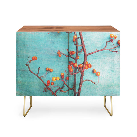 Olivia St Claire She Hung Her Dreams On Branches Credenza