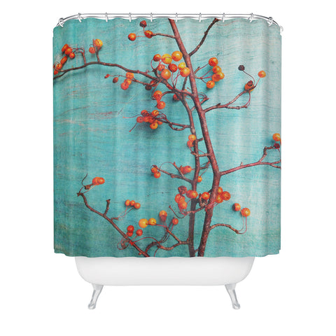 Olivia St Claire She Hung Her Dreams On Branches Shower Curtain