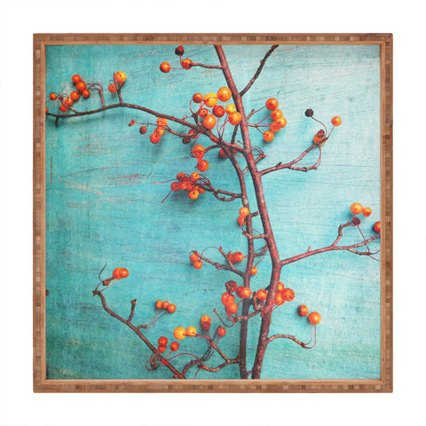 Olivia St Claire She Hung Her Dreams On Branches Square Tray