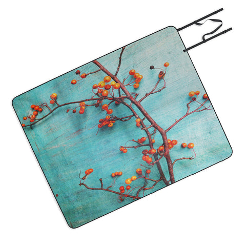 Olivia St Claire She Hung Her Dreams On Branches Picnic Blanket