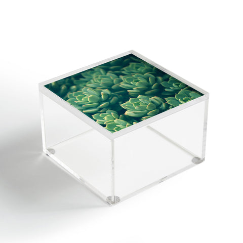 Olivia St Claire Succulents Acrylic Box