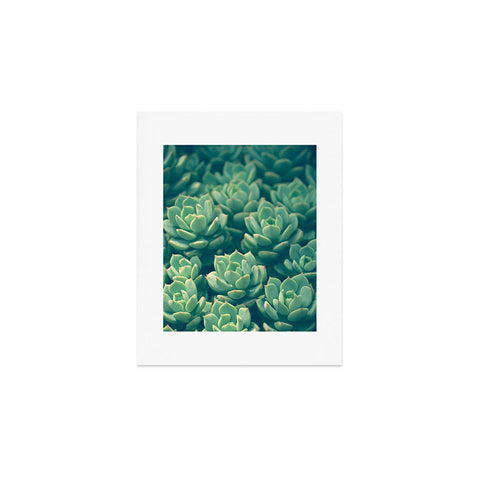 Olivia St Claire Succulents Art Print