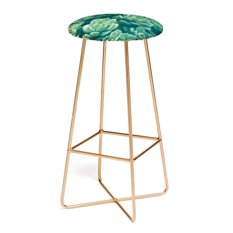 Olivia St Claire Succulents Bar Stool