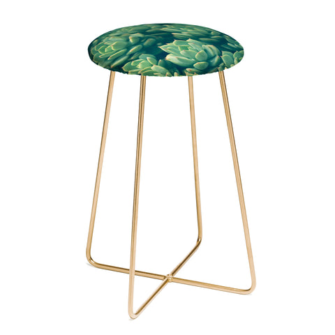 Olivia St Claire Succulents Counter Stool