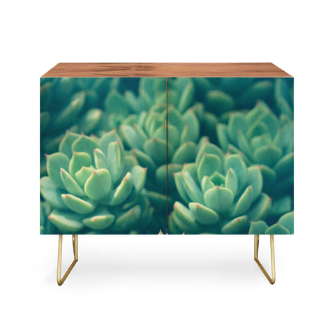 Olivia St Claire Succulents Credenza
