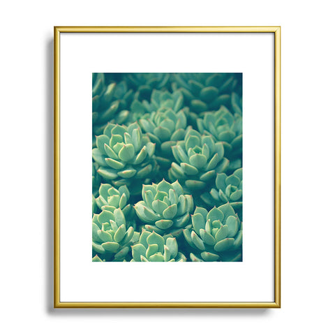 Olivia St Claire Succulents Metal Framed Art Print