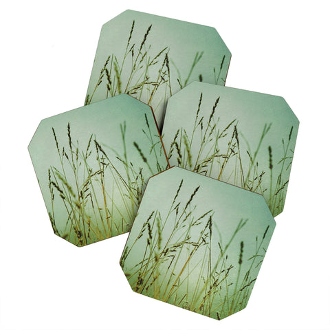 Olivia St Claire Summer Meadow Coaster Set