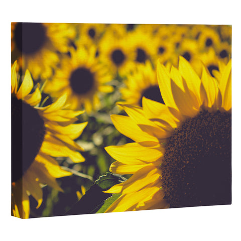 Olivia St Claire Summer Sunflower Love Art Canvas