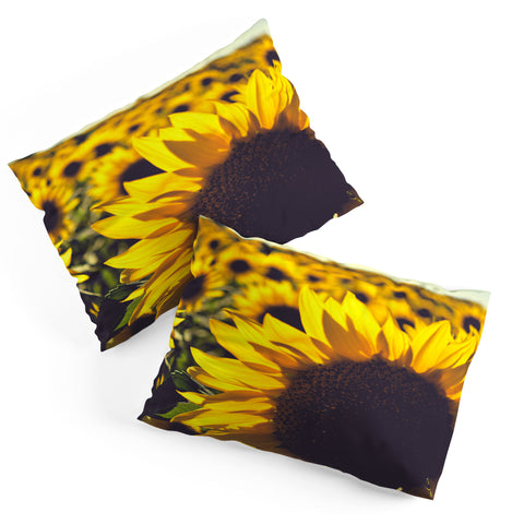 Olivia St Claire Summer Sunflower Love Pillow Shams
