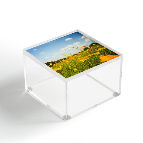 Olivia St Claire Summertime Good Vibes Acrylic Box