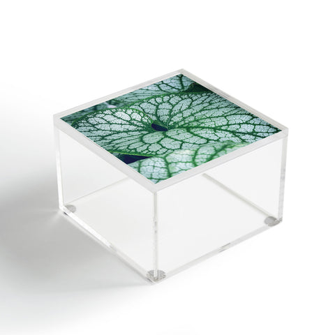 Olivia St Claire Unfold Acrylic Box