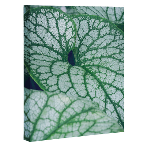 Olivia St Claire Unfold Art Canvas