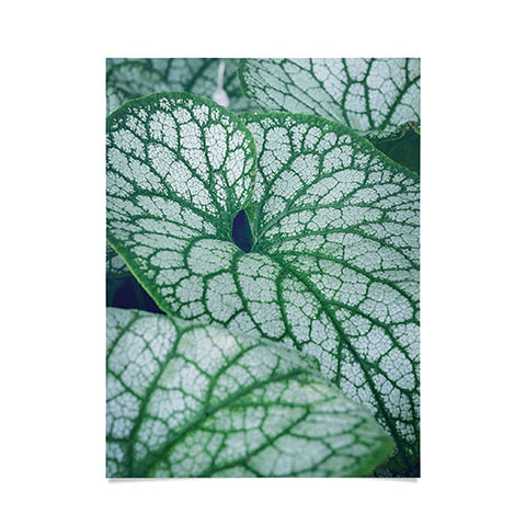 Olivia St Claire Unfold Poster