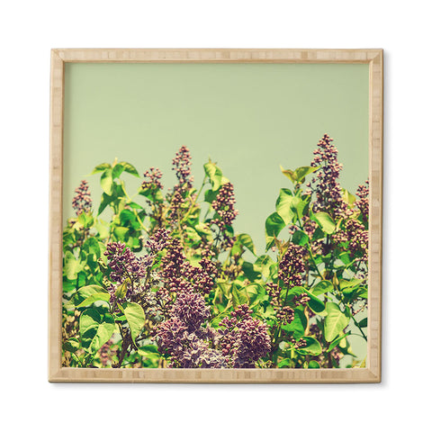 Olivia St Claire Vintage Lilacs Framed Wall Art