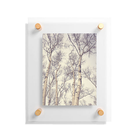 Olivia St Claire Winter Birch Trees Floating Acrylic Print