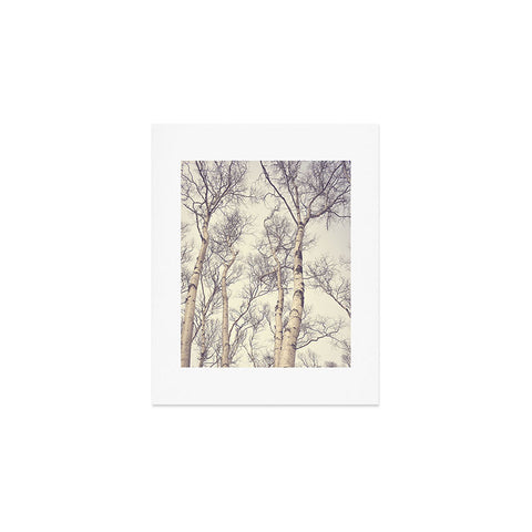 Olivia St Claire Winter Birch Trees Art Print