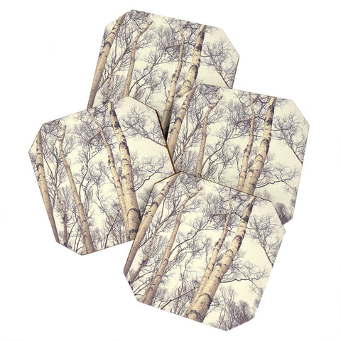 Olivia St Claire Winter Birch Trees Coaster Set