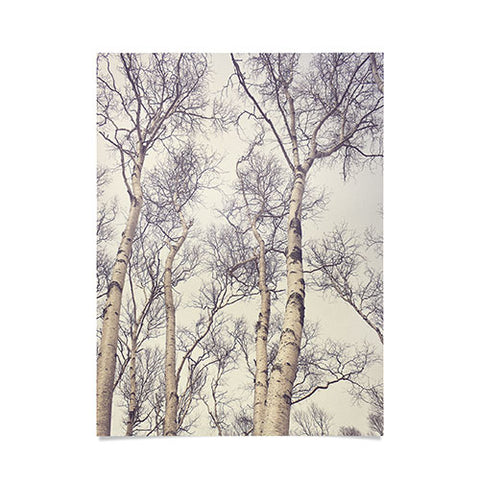 Olivia St Claire Winter Birch Trees Poster