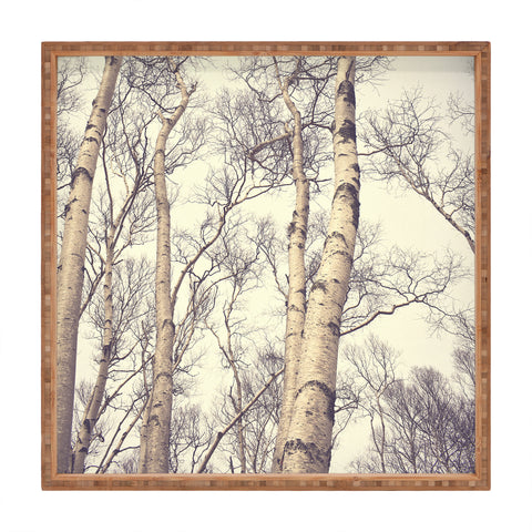 Olivia St Claire Winter Birch Trees Square Tray